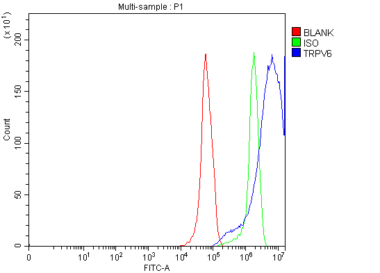  Flow Cytometry analysis of RT4 cells using anti-TRPV6 antibody (A02139-2)