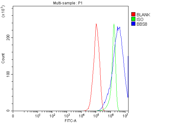  Flow Cytometry analysis of RT4 cells using anti-BBS8/TTC8 antibody (A07486-2)