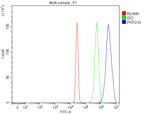 a02146 1 pkp2 primary antibodies fcm testing 1