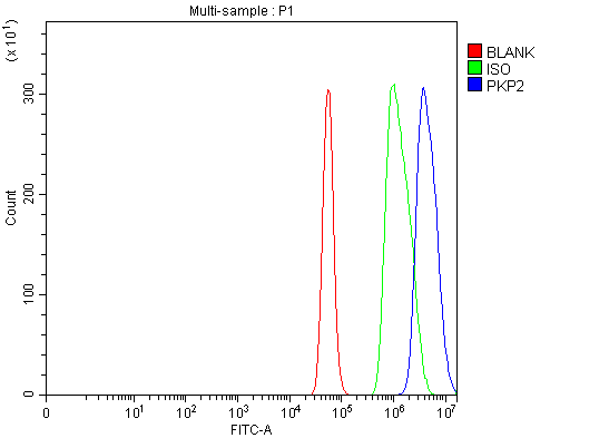 a02146 2 pkp2 primary antibodies fcm testing 9