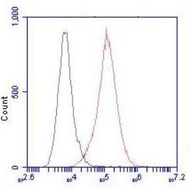 a02148 2 smc1a primary antibodyes fcm testing 3