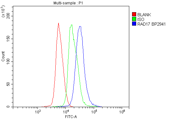 a02159 2 rad17 primary antibodies fcm testing 5