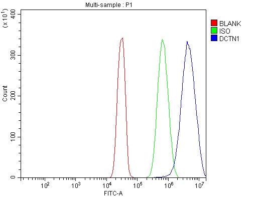 a02175 2 dctn1 primary antibodies fcm testing 9