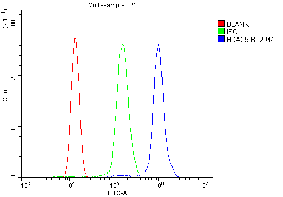  Flow Cytometry analysis of THP-1 cells using anti-HDAC9 antibody (A02177-4)