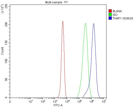 a02178 1 thap1 primary antibodies fcm testing 1
