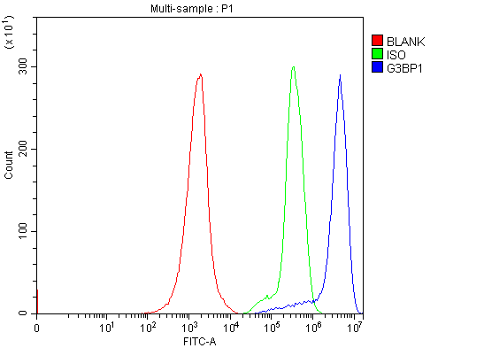 a02199 2 g3bp1 primary antibodies fcm testing 11