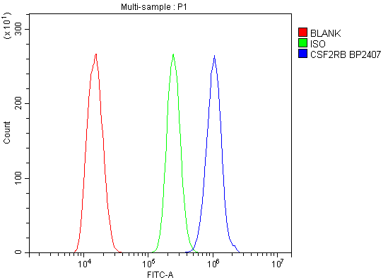 a02219 3 csf2rb primary antibodies fc testing 3