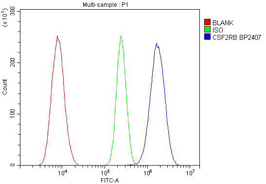 a02219 3 csf2rb primary antibodies fc testing 4