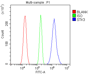 a02224 2 stk3 primary antibodies fcm testing 3