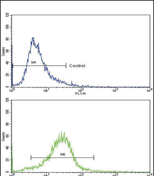 a02226 4 anti col6a1 antibody c term fc testing 5