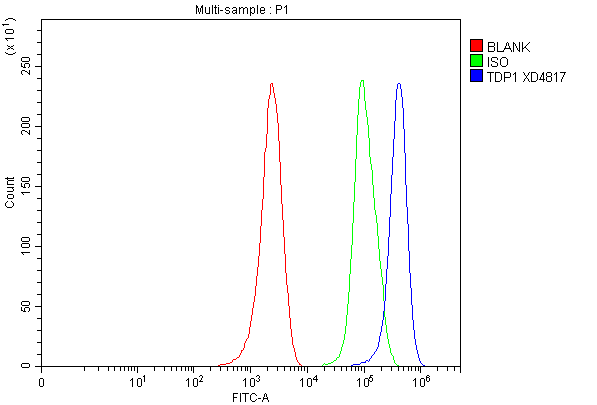 a02231 2 tdp1 primary antibodies fcm testing 1