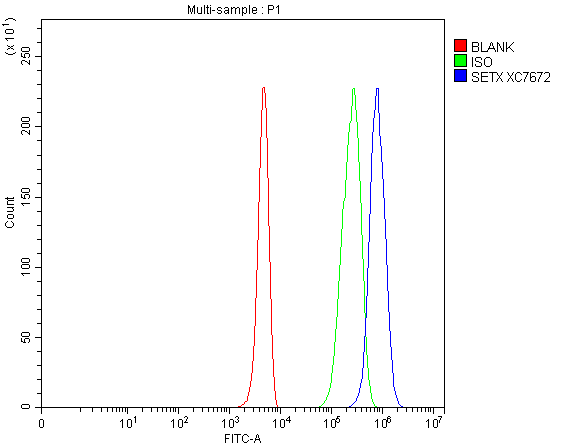 Flow Cytometry analysis of 293T cells using anti-SETX antibody (A02233-1)