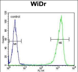 a02234 anti gusb antibody center fc testing 4