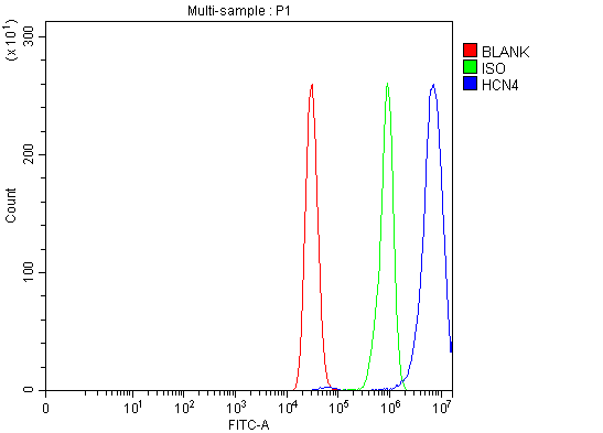 a02235 1 hcn4 primary antibodies fcm testing 2