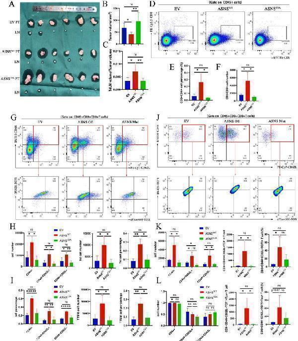 a02236 1 41208878 figure 5