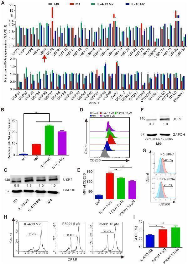 a02236 1 thnov10p9332g002