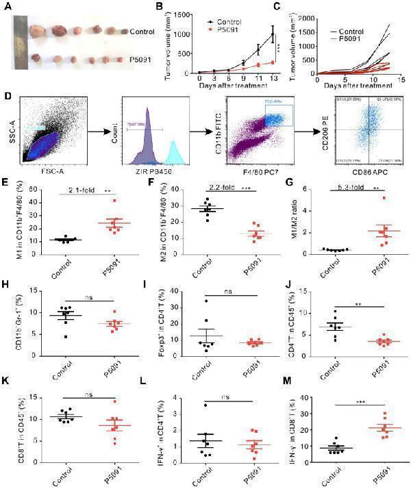 a02236 1 thnov10p9332g003