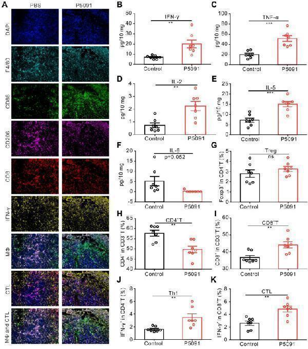 a02236 1 thnov10p9332g004