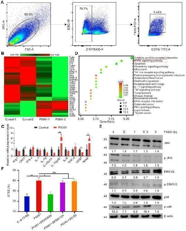 a02236 1 thnov10p9332g006