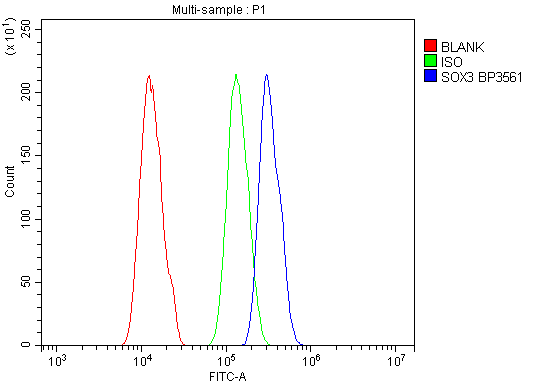  Flow Cytometry analysis of A431 cells using anti-SOX3 antibody (A02255-2)