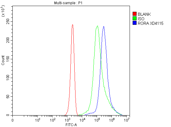 a02266 2 rora primary antibodies fcm testing 1