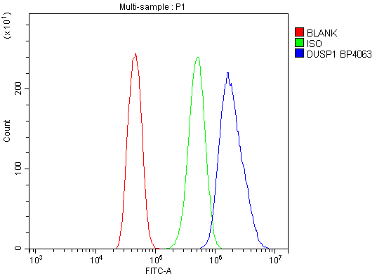  Flow Cytometry analysis of CACO-2 cells using anti-MKP-1/DUSP1 antibody (A02276-1)