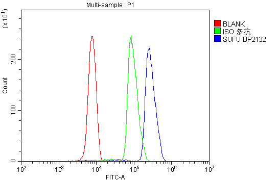a02279 1 sufu primary antibodies fc testing 3