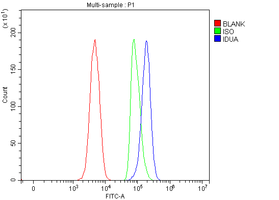 a02281 2 idua primary antibodies fcm testing 8