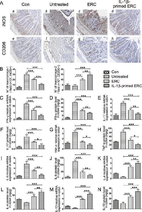 a02285 2 13287_2021_2392_fig5_html