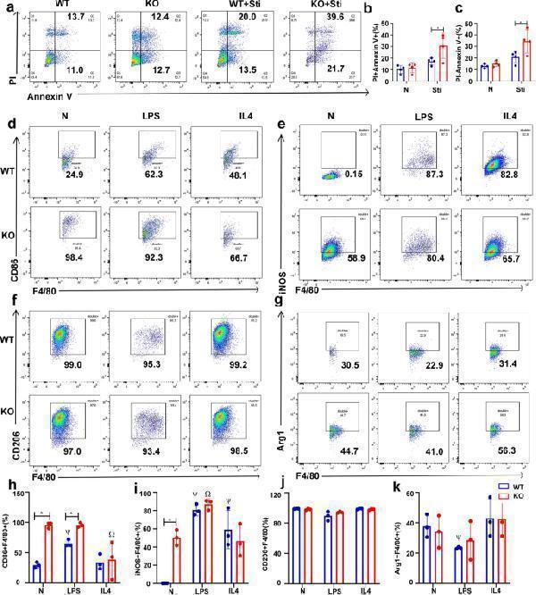 a02285 2 43556_2024_203_fig2_html