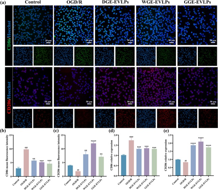 a02285 2 publication fsn3 14 e72044 g002