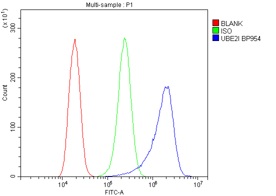 a02295 1 ube2i primary antibodies fcm testing 10