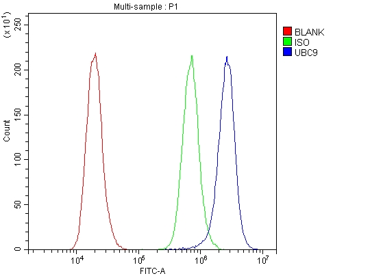 a02295 ubc9 primary antibodies fcm testing 17
