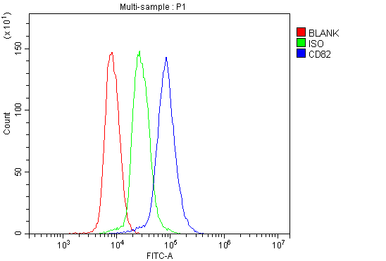 a02300 1 cd82 primary antibodies fcm testing 4