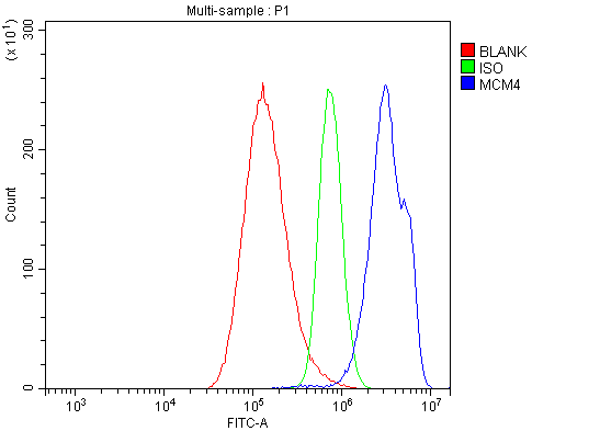 a02301 1 mcm4 primary antibodies fcm testing 8