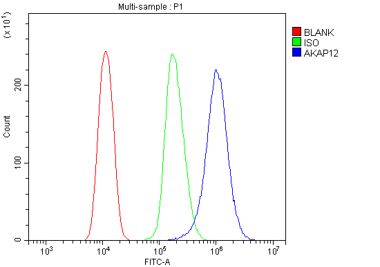  Flow Cytometry analysis of HEPA1-6 cells using anti-AKAP12 antibody (A02303-3)