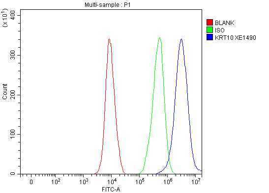 a02305 3 krt10 primary antibodies fcm testing 1