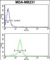a02312 2 anti serpina3 antibody c term fc testing 2