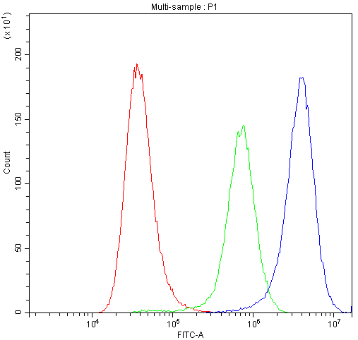 a02314 1 synaptotagmin_1 primary antibodies fc testing 6