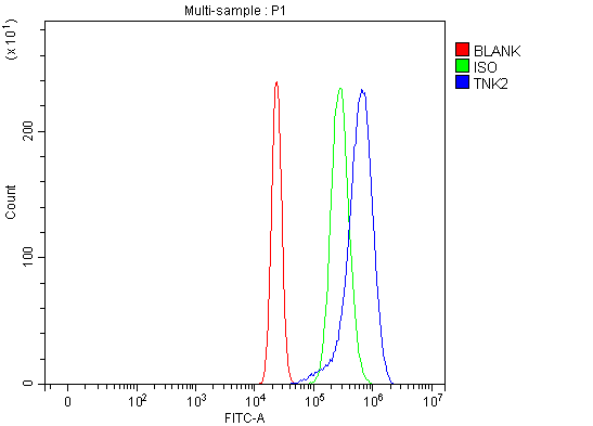  Flow Cytometry analysis of U20S cells using anti-ACK1/TNK2 antibody (A02334-1)