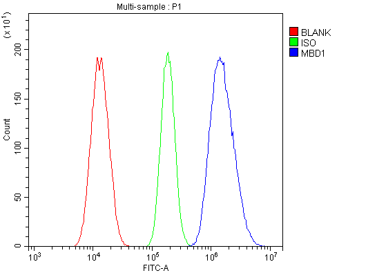 a02336 1 mbd1 primary antibodies fcm testing 2