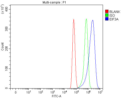 a02339 3 eif3a primary antibodies fcm testing 6