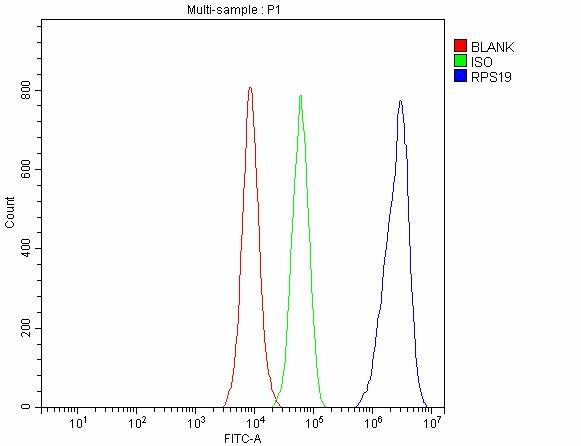  Flow Cytometry analysis of 293T cells using anti-RPS19 antibody (A02343-1)