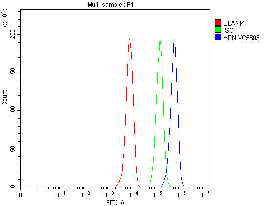 a02350 1 hpn primary antibodies fcm testing 1