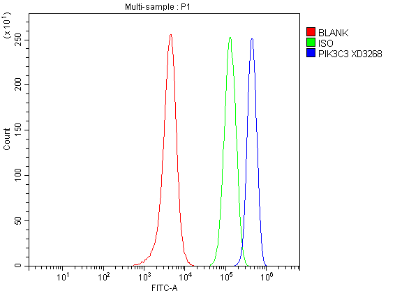 Flow Cytometry analysis of SH-SY5Y cells using anti-VPS34/PIK3C3 antibody (A02356-3)
