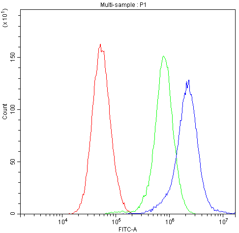 Flow Cytometry analysis of U251 cells using anti-CHRNA5 antibody (A02359-2). Overlay histogram showing U251 cells stained with A02359-2 (Blue line).The cells were blocked with 10% normal goat serum. And then incubated with rabbit anti-CHRNA5 Antibody (A02359-2,1μg/1x106 cells) for 30 min at 20°C. DyLight®488 conjugated goat anti-rabbit IgG (BA1127, 5-10μg/1x106 cells) was used as secondary antibody for 30 minutes at 20°C. Isotype control antibody (Green line) was rabbit IgG (1μg/1x106) used under the same conditions. Unlabelled sample (Red line) was also used as a control.
