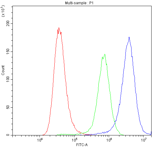 Flow Cytometry analysis of A549 cells using anti-CHRNA5 antibody (A02359-2). Overlay histogram showing A549 cells stained with A02359-2 (Blue line).The cells were blocked with 10% normal goat serum. And then incubated with rabbit anti-CHRNA5 Antibody (A02359-2,1μg/1x106 cells) for 30 min at 20°C. DyLight®488 conjugated goat anti-rabbit IgG (BA1127, 5-10μg/1x106 cells) was used as secondary antibody for 30 minutes at 20°C. Isotype control antibody (Green line) was rabbit IgG (1μg/1x106) used under the same conditions. Unlabelled sample (Red line) was also used as a control.