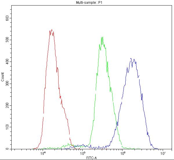 Flow Cytometry analysis of MCF-7 cells using anti-CHRNA5 antibody (A02359-2). Overlay histogram showing MCF-7 cells stained with A02359-2 (Blue line).The cells were blocked with 10% normal goat serum. And then incubated with rabbit anti-CHRNA5 Antibody (A02359-2,1μg/1x106 cells) for 30 min at 20°C. DyLight®488 conjugated goat anti-rabbit IgG (BA1127, 5-10μg/1x106 cells) was used as secondary antibody for 30 minutes at 20°C. Isotype control antibody (Green line) was rabbit IgG (1μg/1x106) used under the same conditions. Unlabelled sample (Red line) was also used as a control.