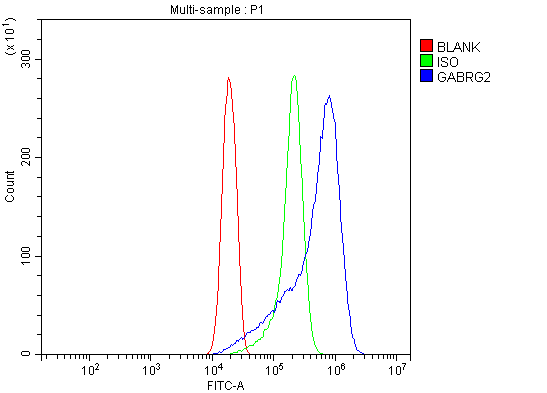 a02361 1 gabrh2 primary antibodies fcm testing 4