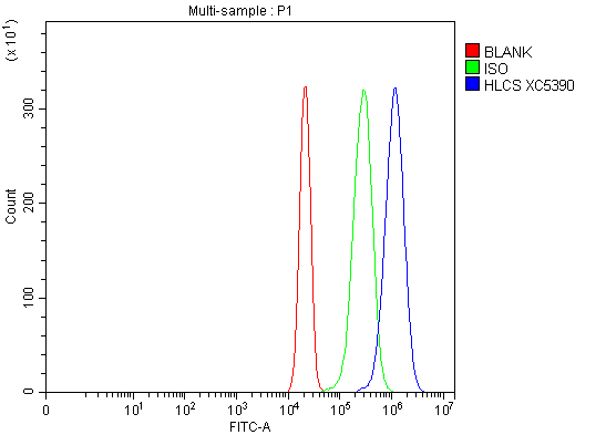 Flow Cytometry analysis of RT4 cells using anti-HLCS antibody (A02377-1)